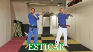 ブラジリアンじゅうじゅつのどうがをつくりました